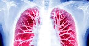 Foto: (samunella/DepositPhotos)