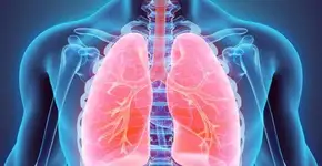 Foto: (Imagem sem texto alternativo disponivel ID [1619511])