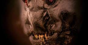 Foto de arrepiar mostra com detalhes o rosto de uma formiga