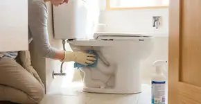 Foto: (Imagem sem texto alternativo disponivel ID [2739646])