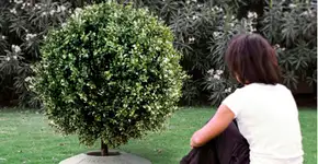 Foto: (Imagem sem texto alternativo disponivel ID [1132625])