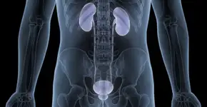 Foto: (magicmine/istock)