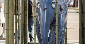 Esculturas de elefantes são ‘enjauladas’ em SP por uma boa causa