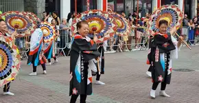 Foto: (Divulgação Toyo Matsuri)
