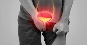 Semente que ia pro lixo agora protege a bexiga e surpreende a ciência