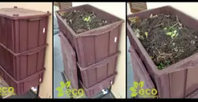 Foto: (Imagem sem texto alternativo disponivel ID [756156])