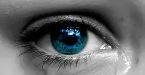 Dimenstein: ‘Eu me sinto profundamente traído e fraudado’