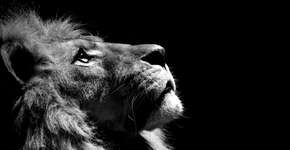 Foto: (Imagem sem texto alternativo disponivel ID [744180])