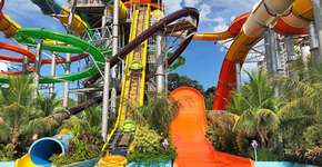 Foto: (Divulgação)