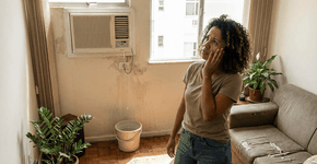 Foto: (Imagem sem texto alternativo disponivel ID [2744762])