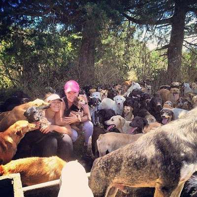 Sítio na Costa Rica abriga 700 cachorros vira-latas