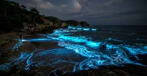 A bioluminescência marinha em risco devido ao aquecimento global