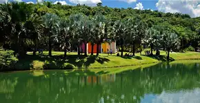 Foto: (Willian Gomes/Divulgação)