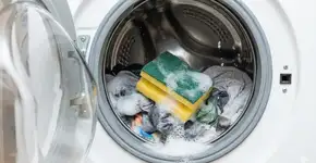 Foto: (Imagem gerada por IA/Gemini)