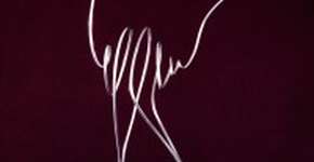 Esculturas de Paulo Bordhin são expostas no Sesi Vila Leopoldina