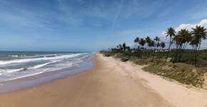 Foto: (FernandoPodolski/iStock)