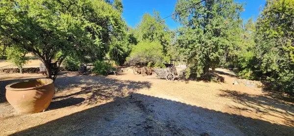 A cervejaria fica dentro do Santuário El Ajial