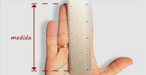 Foto: (Imagem sem texto alternativo disponivel ID [1386824])