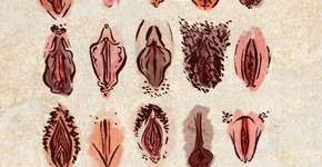 Foto: (Imagem sem texto alternativo disponivel ID [980747])