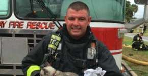 Gato resgatado em incêndio é ressuscitado por bombeiros