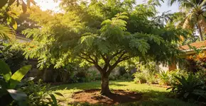 Foto: (Imagem sem texto alternativo disponivel ID [2702591])