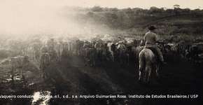 Foto: (Imagem sem texto alternativo disponivel ID [1843741])