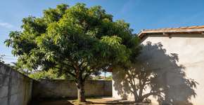 Foto: (Imagem sem texto alternativo disponivel ID [2707618])