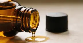 Foto: (Imagem sem texto alternativo disponivel ID [2682671])