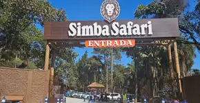 Simba Safari