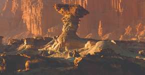 Foto: (Divulgação)