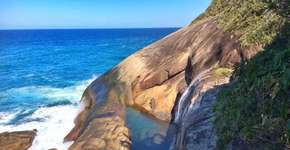 Foto: (Imagem sem texto alternativo disponivel ID [1482663])