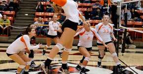 Foto: (Imagem sem texto alternativo disponivel ID [404181])