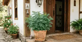 Foto: (Imagem sem texto alternativo disponivel ID [2770456])