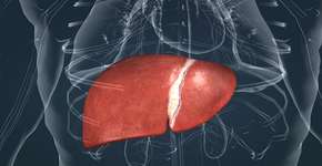 Foto: (volkan arslan/istock)