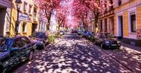 Foto: (Imagem sem texto alternativo disponivel ID [1896408])