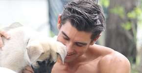 Bombeiros posam para calendário com filhotes e ‘causam incêndio’