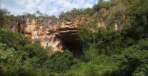 Foto: (Imagem sem texto alternativo disponivel ID [1868450])