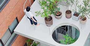 Foto: (Imagem sem texto alternativo disponivel ID [1867373])