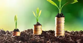 Calculadoras online ajudam a entender poupança e Tesouro Direto