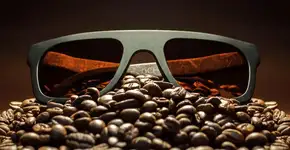 Óculos de sol biodegradáveis são feitos de café
