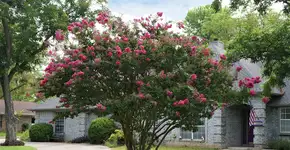 Foto: (Christine_Kohler/istock)