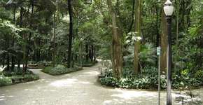 Trilha noturna no Parque Trianon