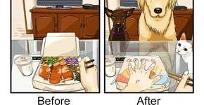 9 imagens mostram a vida antes e depois de ter um pet