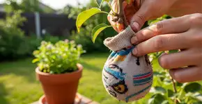 Foto: (Imagem sem texto alternativo disponivel ID [2768363])