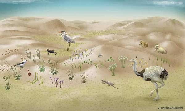 Ilustração para o Atlas UCS - Universidade de Caxias do Sul (Vivian Dall’Alba)