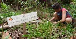 Foto: (Imagem sem texto alternativo disponivel ID [1126697])