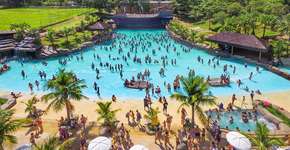 Foto: (Divulgação)