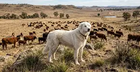 Foto: (Imagem sem texto alternativo disponivel ID [2776497])