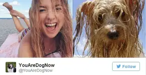 Esta conta no Twitter encontra o seu ‘sósia’ canino no mundo