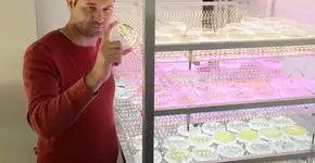 Foto: (Imagem sem texto alternativo disponivel ID [1836875])